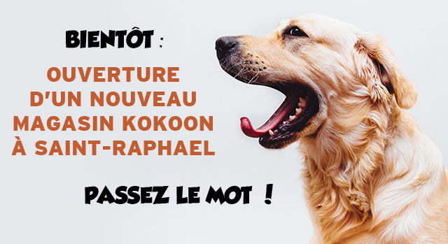 Saint-Raphael : ouverture prochaine