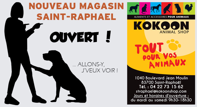 Saint-Raphaël : ouverture !