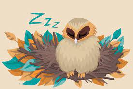 Chouette-dort-dessins-1