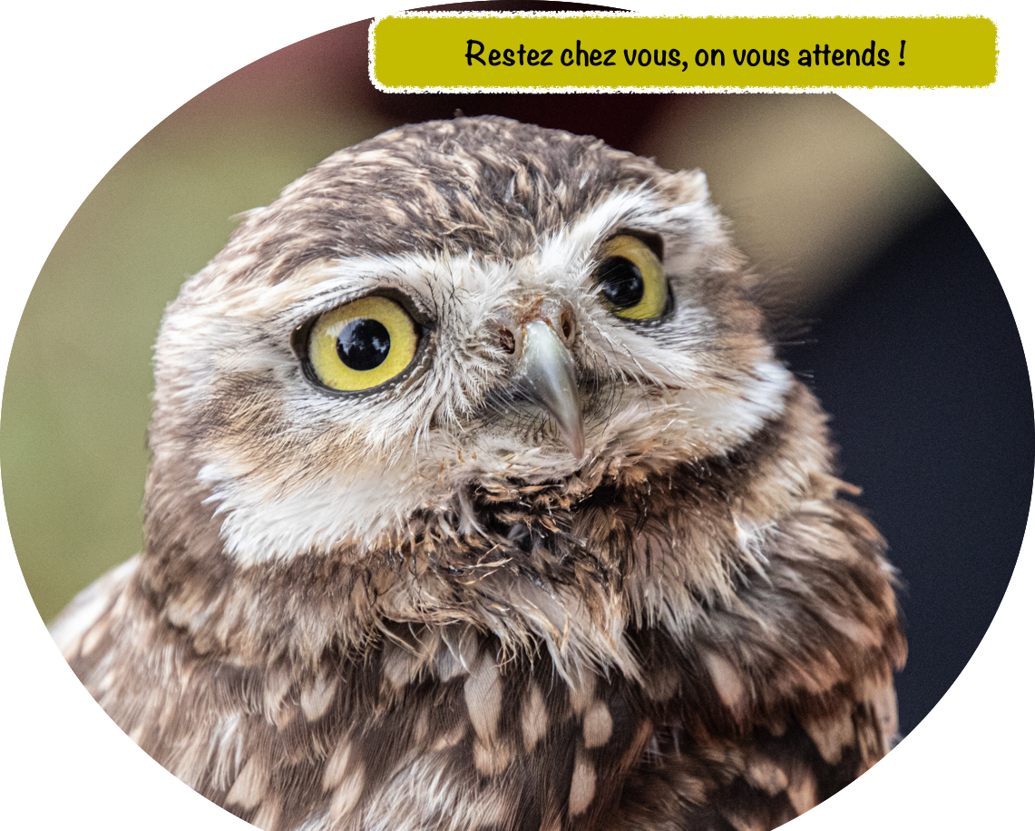 Restez chez vous bretzel