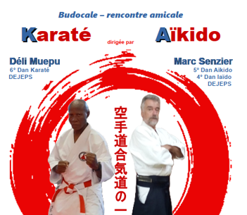 Master Class Karaté Aïkido