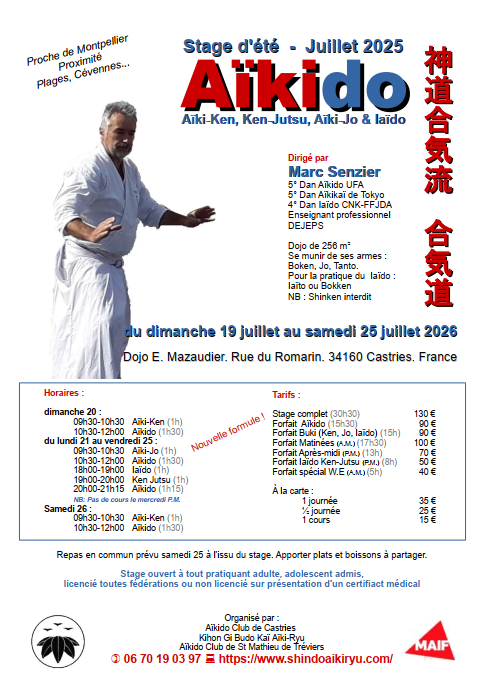 Stage d'été Shin Do Aïki Ryu