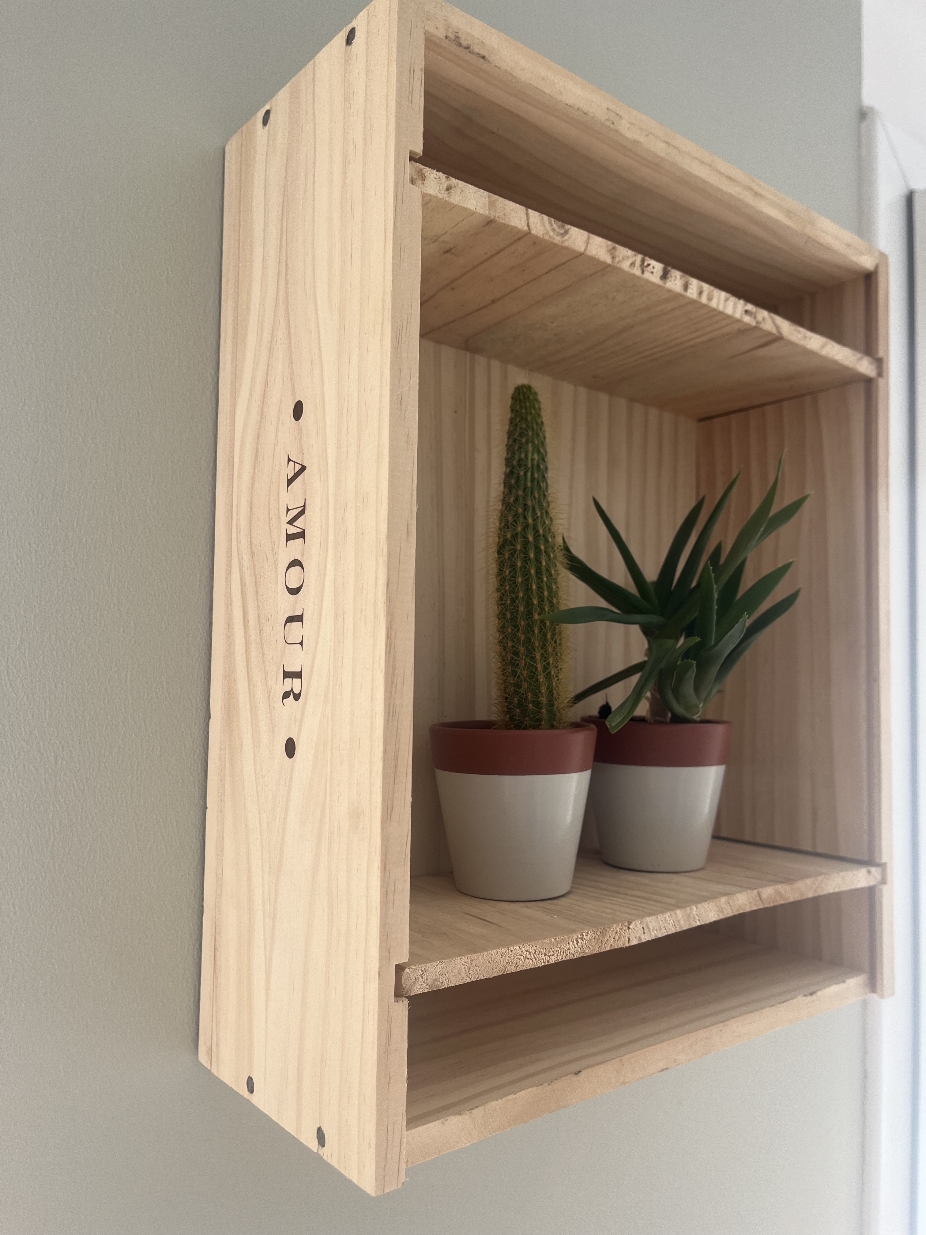 Plantes