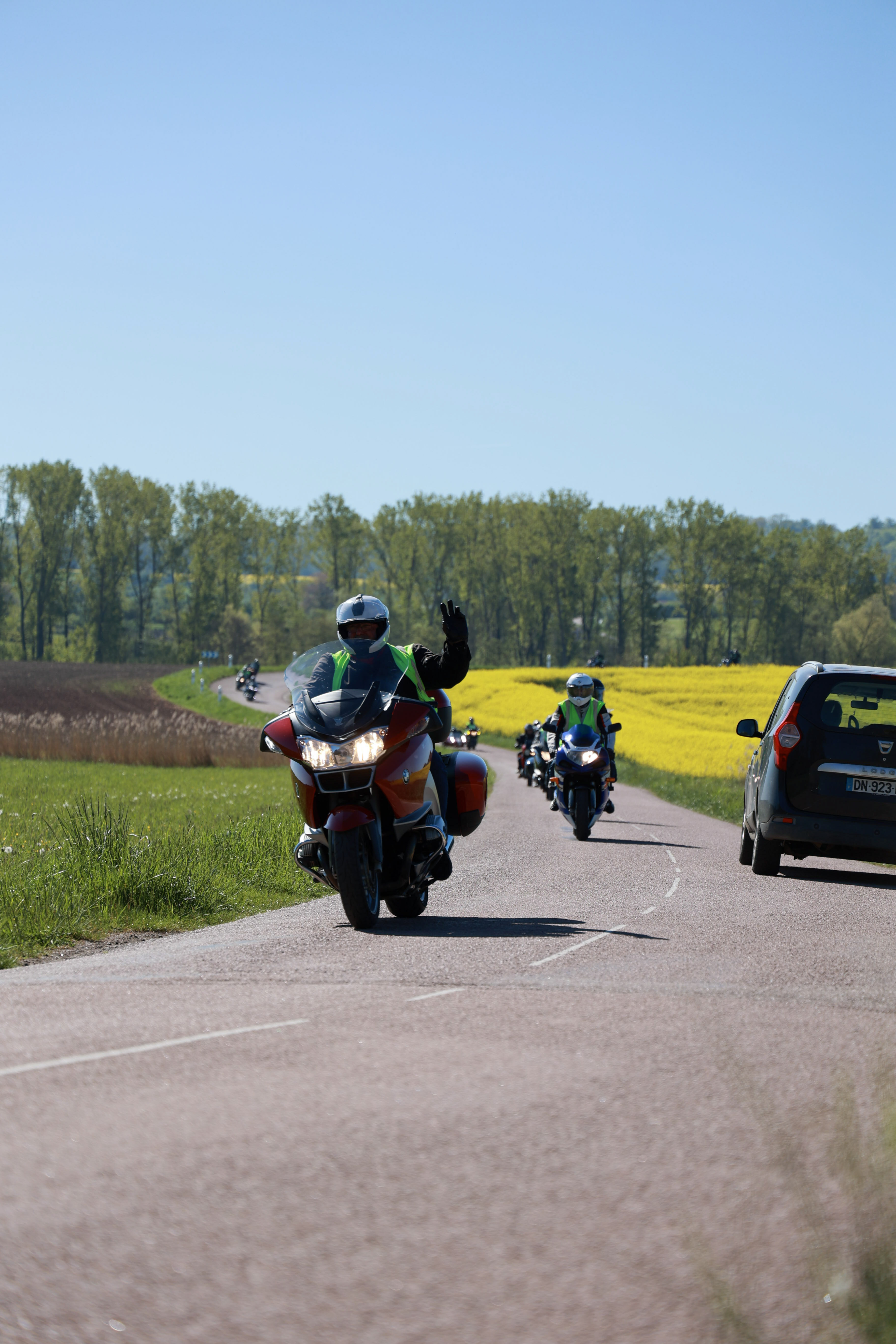 42 img 8468