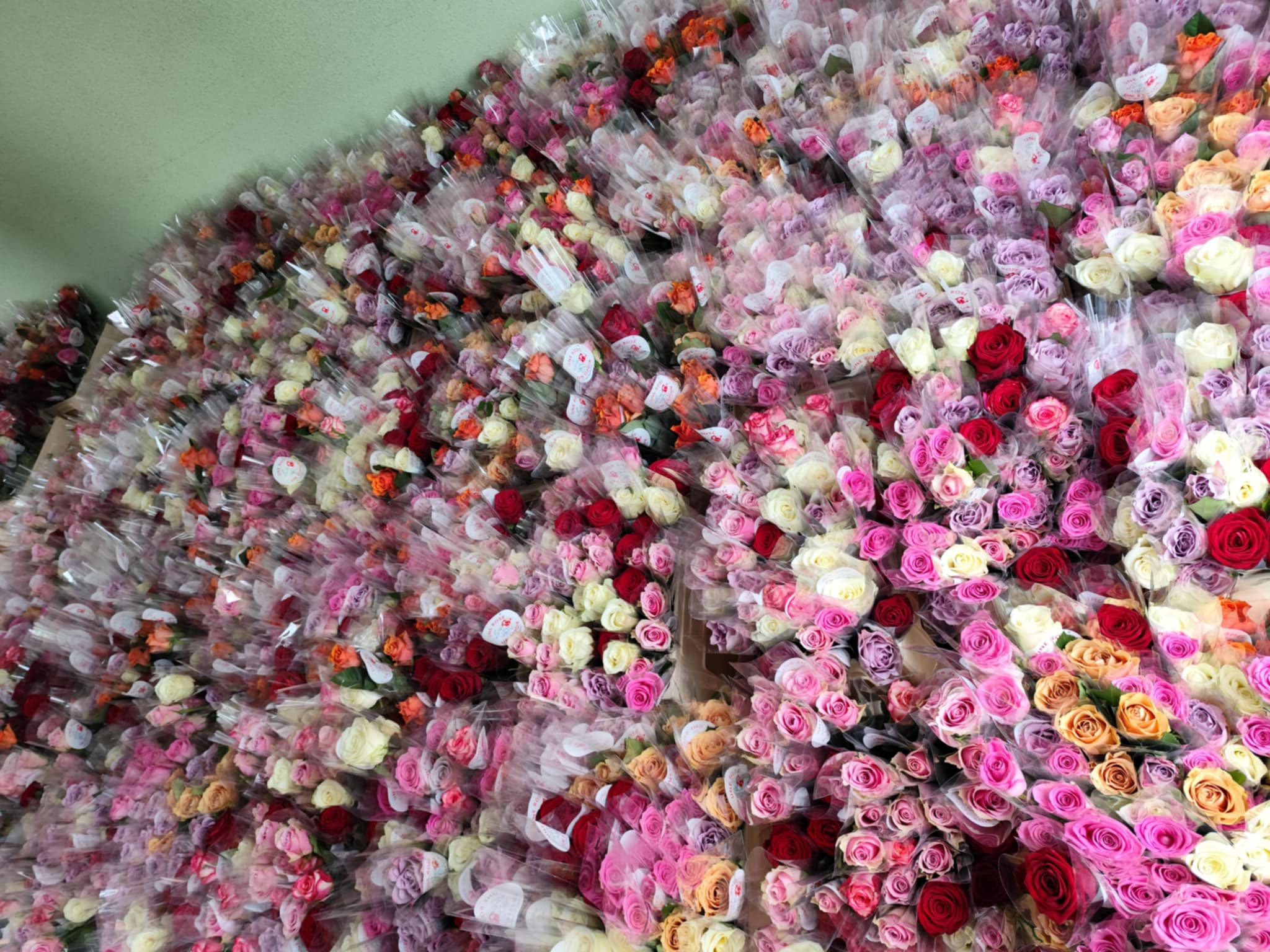 Rosess