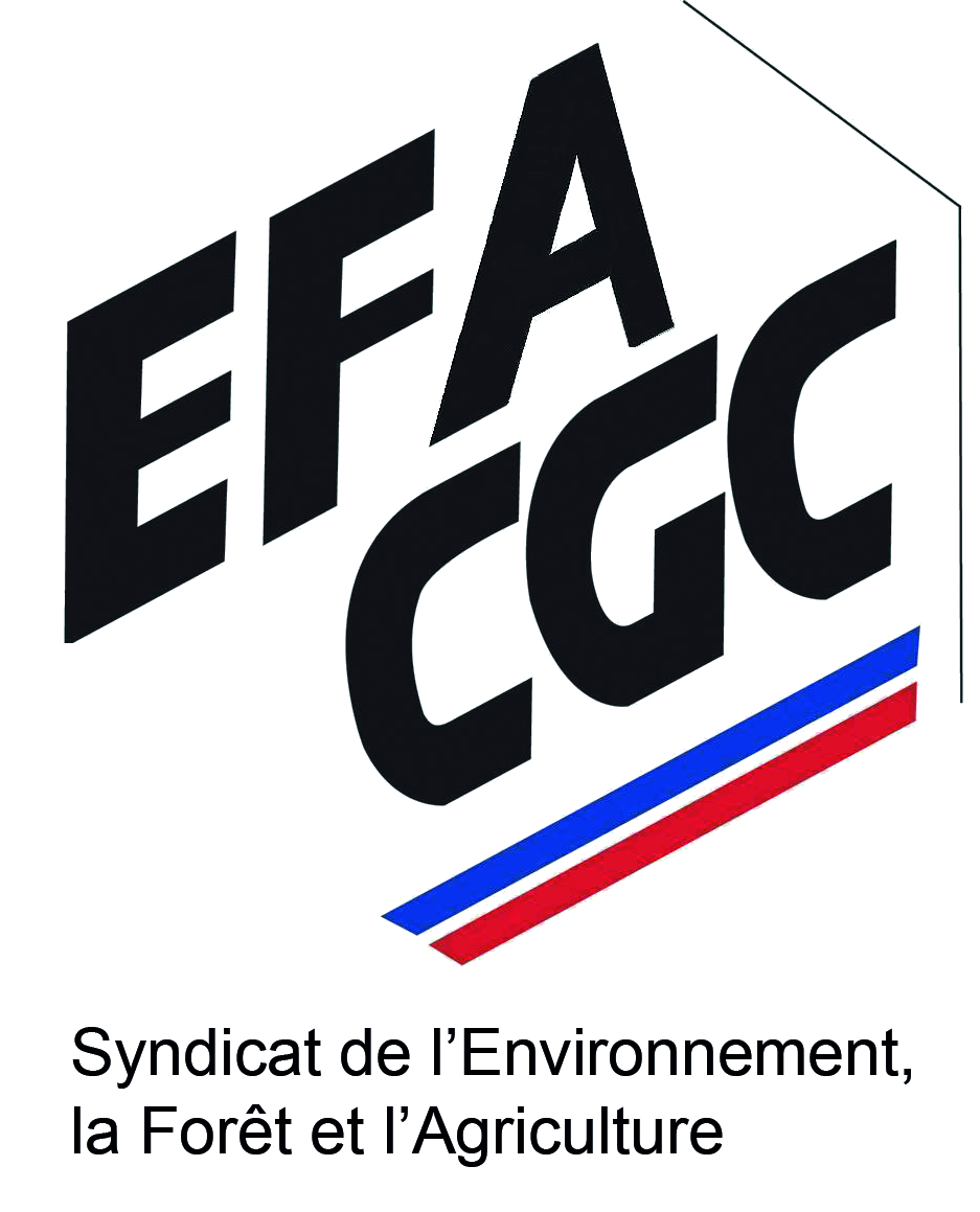 Logo efa cgc avec baseline