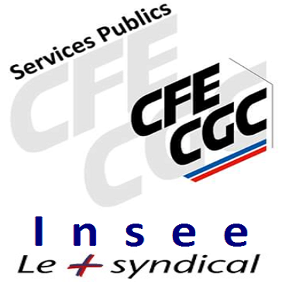 Logo cfe cgc insee