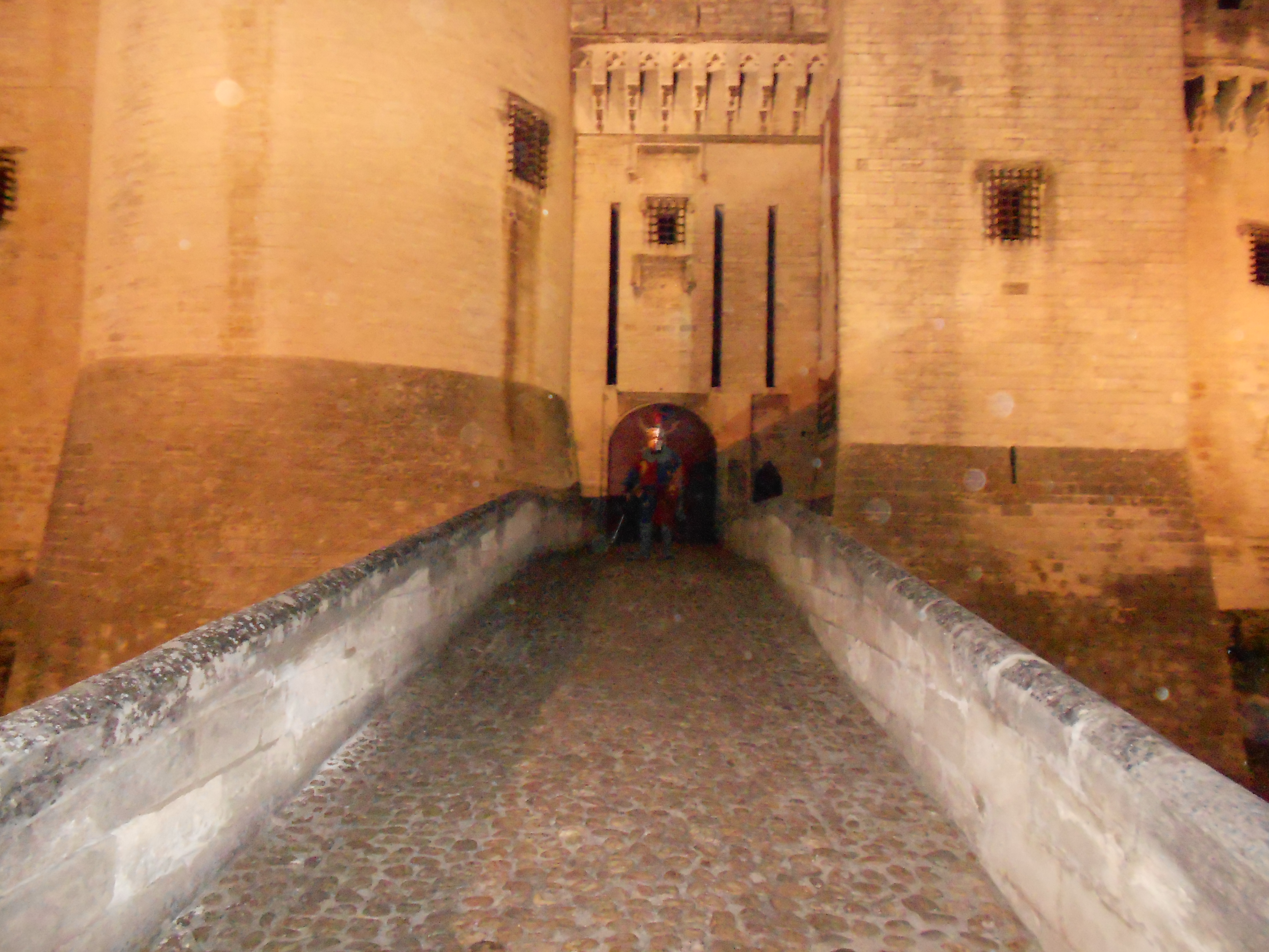 Dscn0773