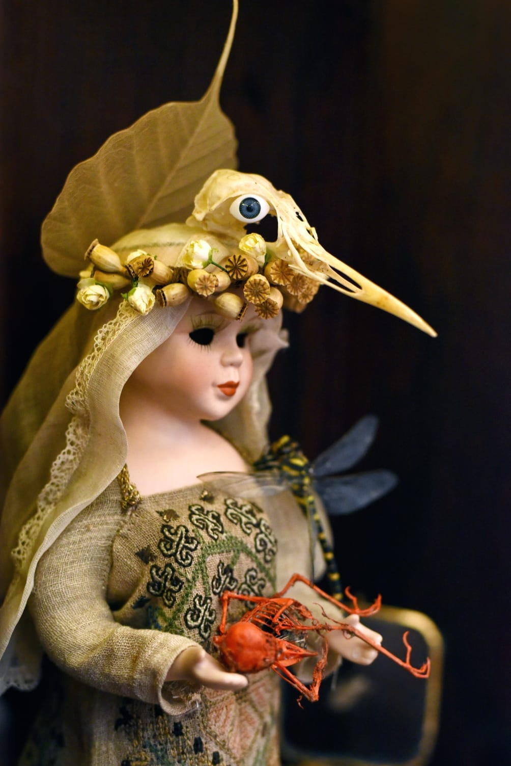 La femme et le lion sauvage