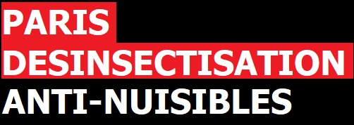 Logo parisdesinsectisation
anti-nuisible Paris
cafard
punaise de lits
blattes
fourmis
insectes 