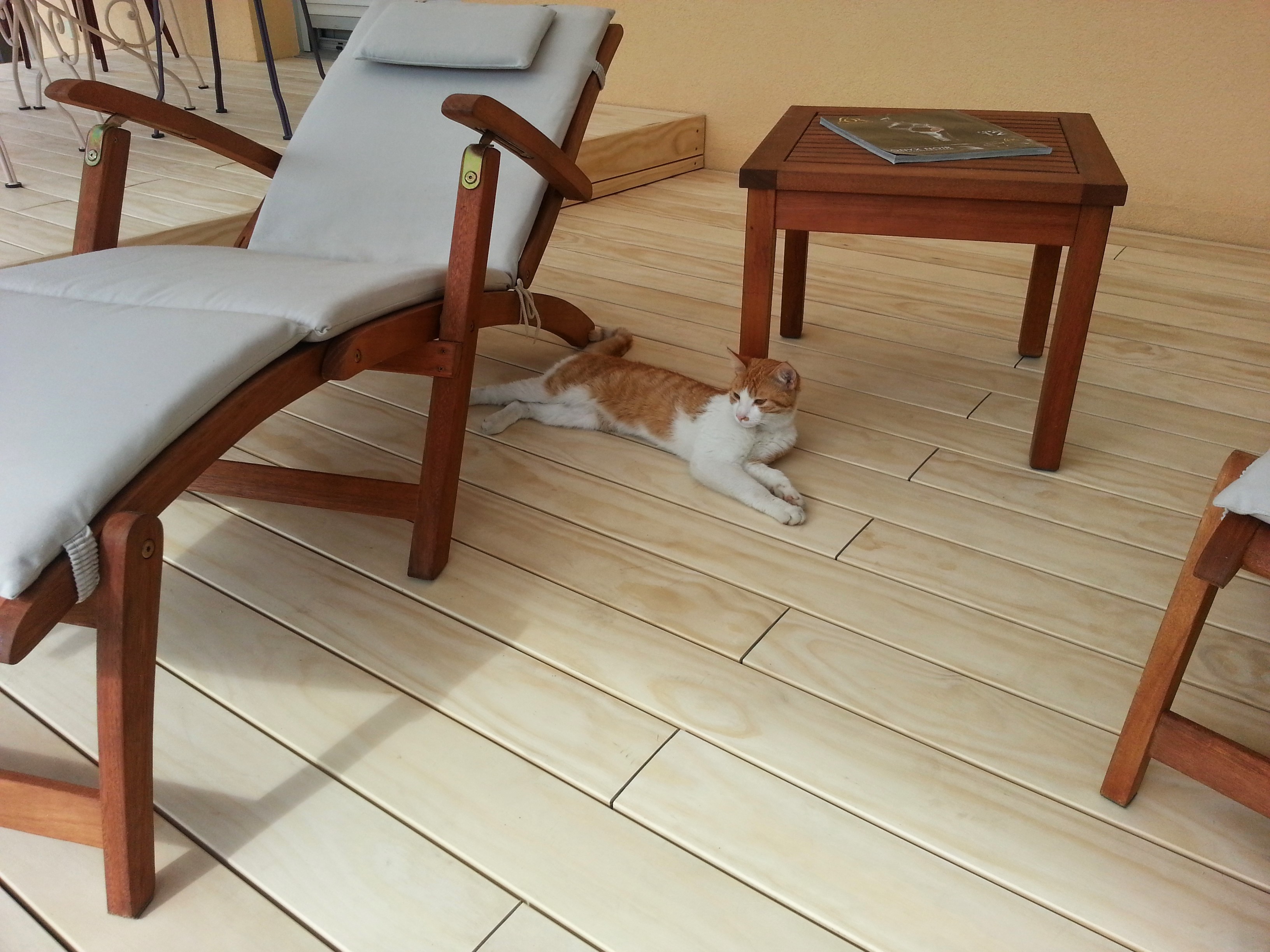 Terrasse bois 72 sarthe maine et loire 49 angers saumur le mans