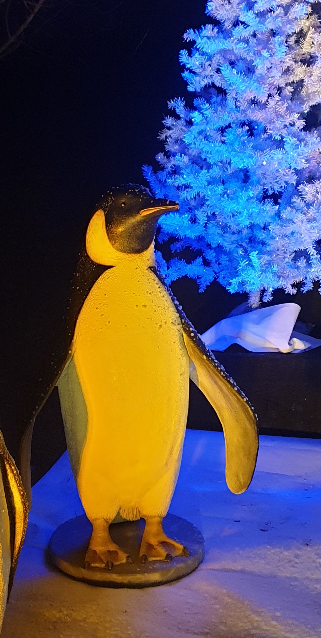 Pingouin