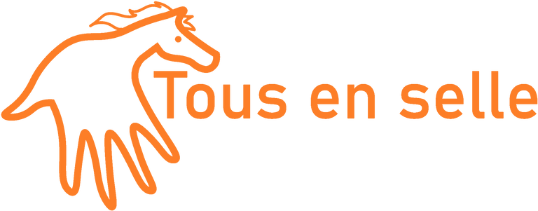 Full-Logo-orange