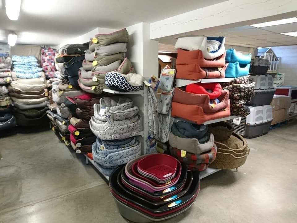 Kokoon animal shop trets 44