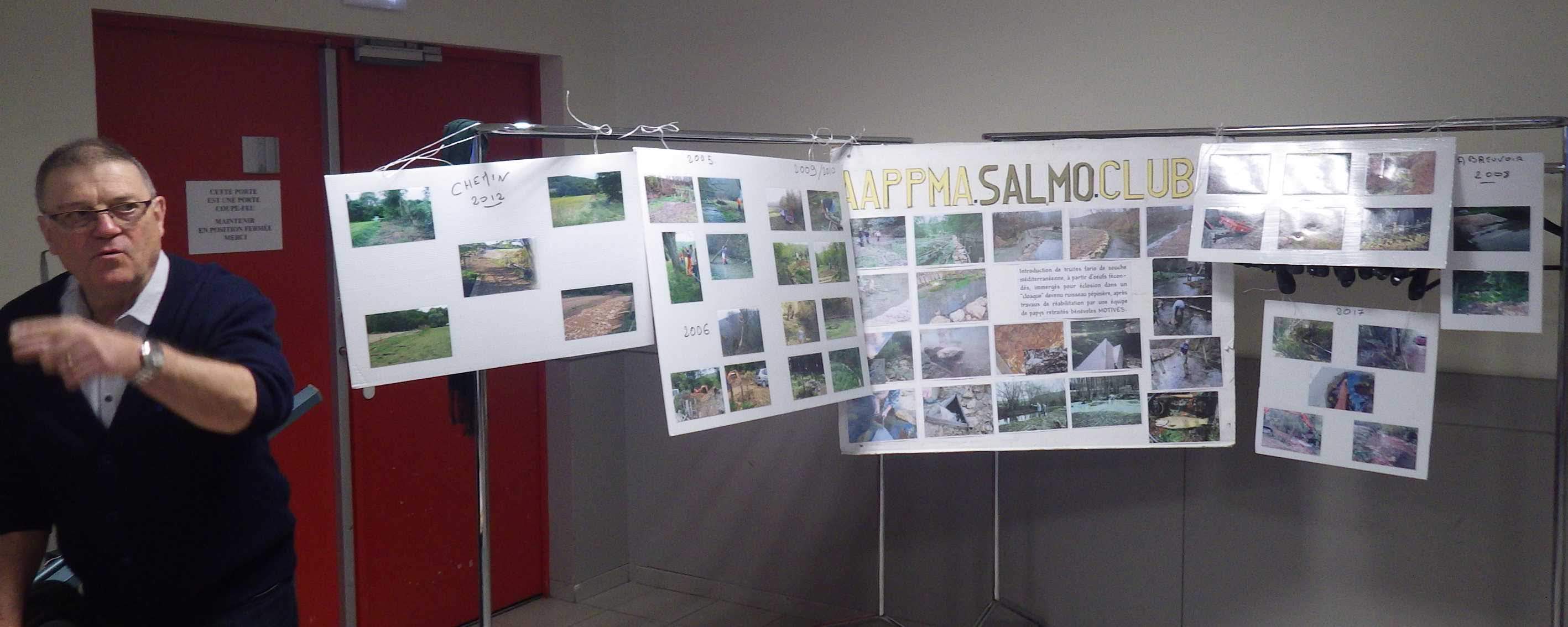 Salmo