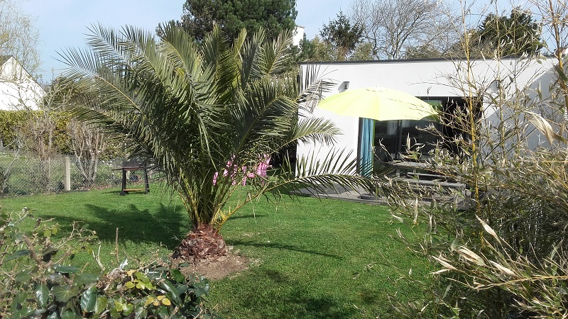 Jardin