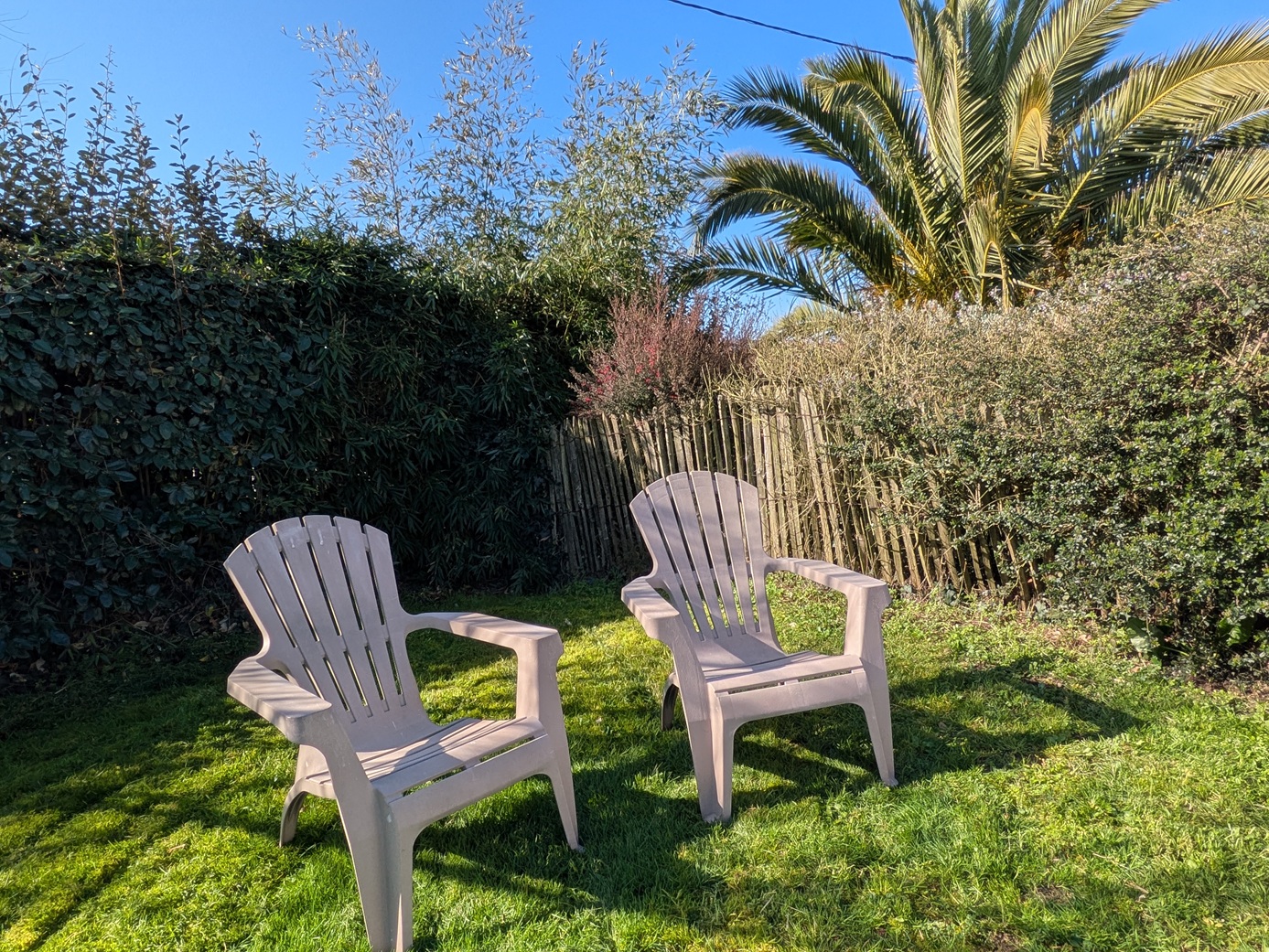 Pxl 20260302 102313590 copie