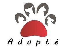 Adopte-
