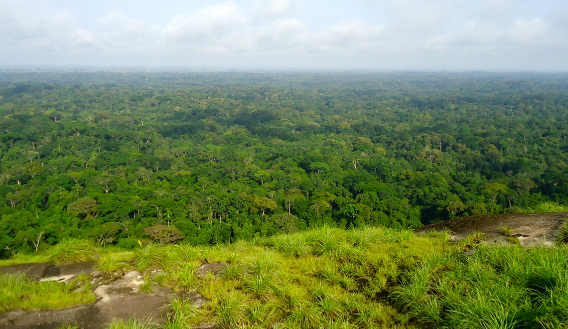 Le Parc national de Tai