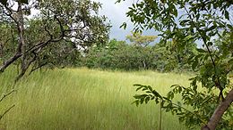 Parc comoe