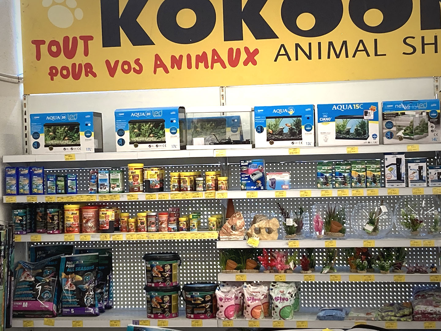 Kokoon vallauris 2020 14