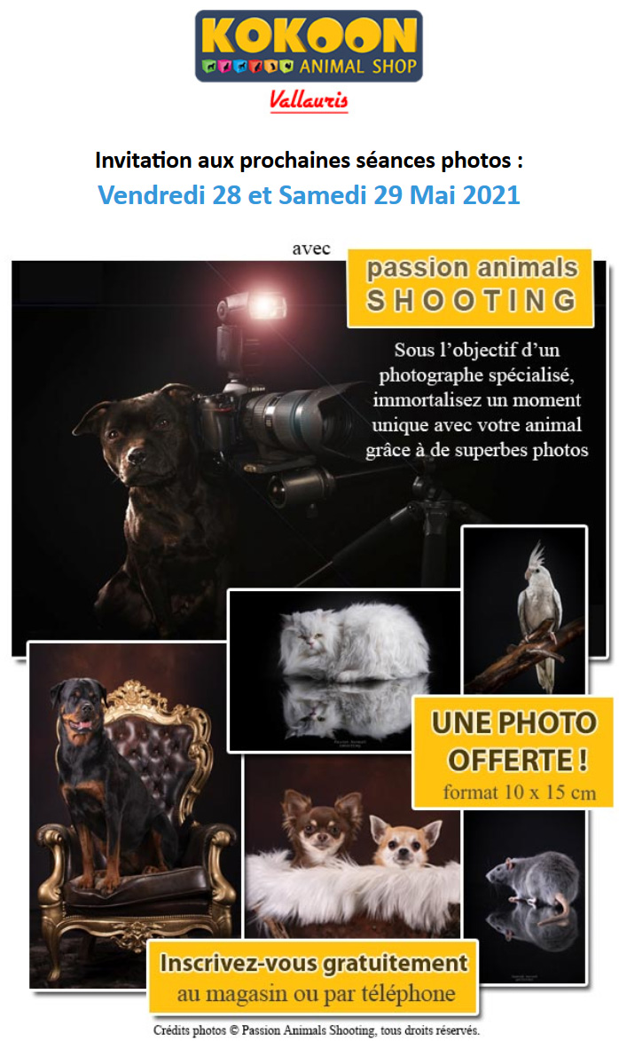 Prochaine animation photos à Vallauris