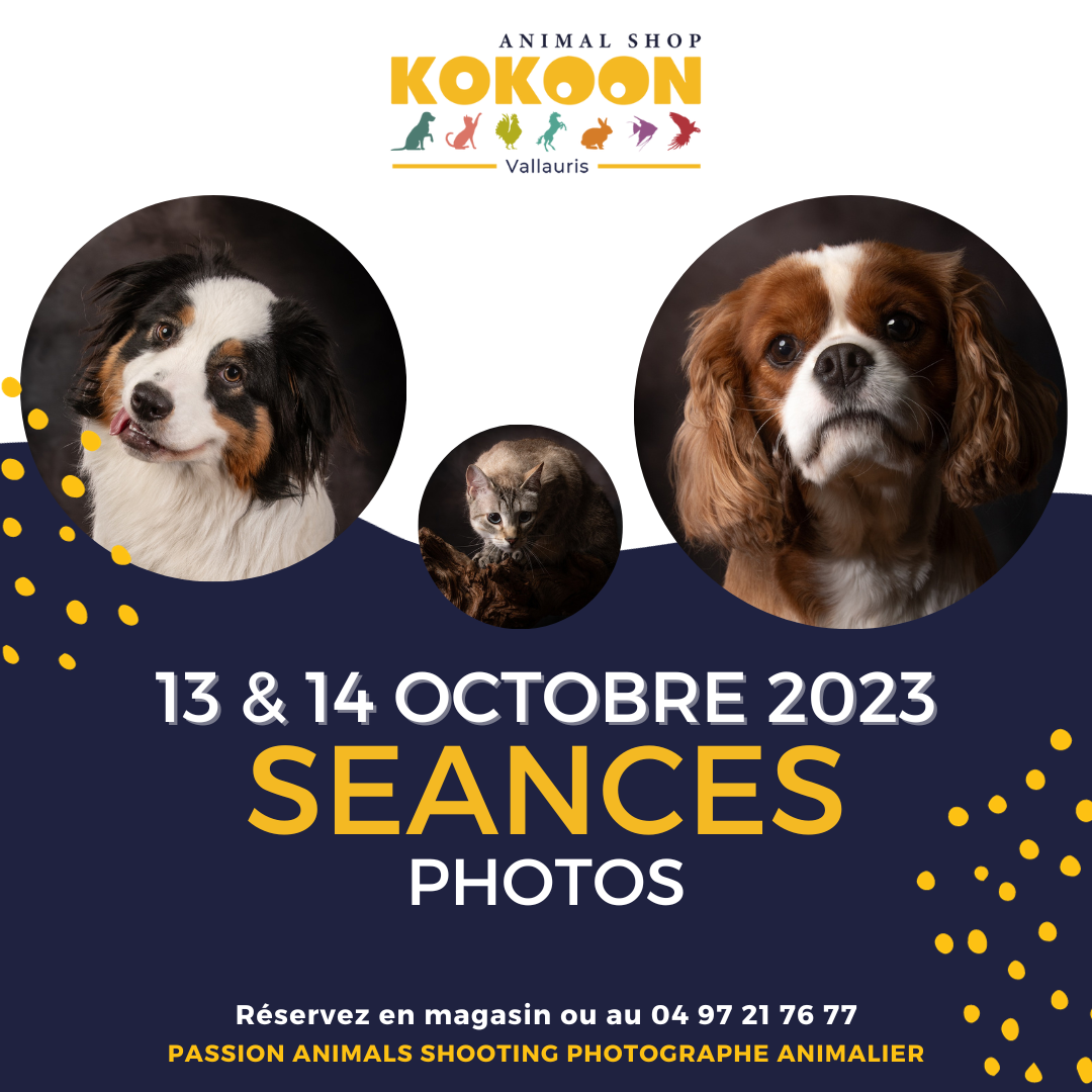 Vallauris les 13 et 14 octobre