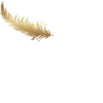 Plume-GIF-transparent-5s