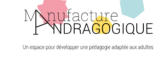 la plateforme andragogique