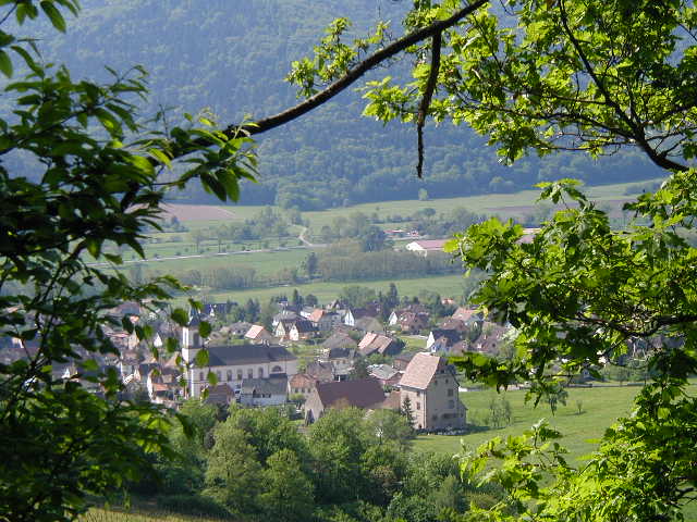 P1010017