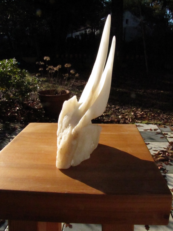 Voiles d odyssee 22 600x800 