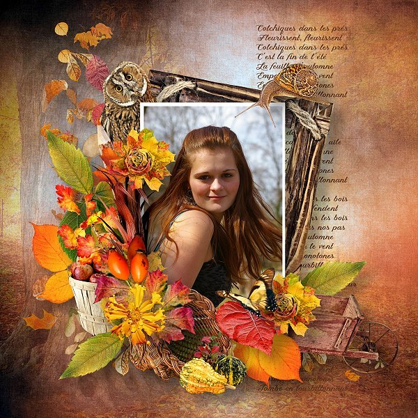 Inspiration 6 