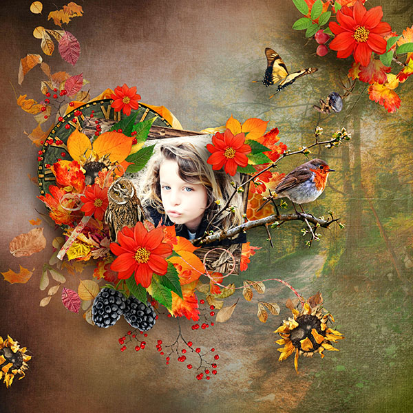 Inspiration 5 