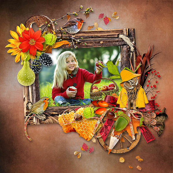 Inspiration 15 