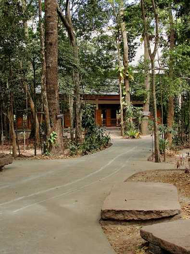 Wat pah nanachat 2
