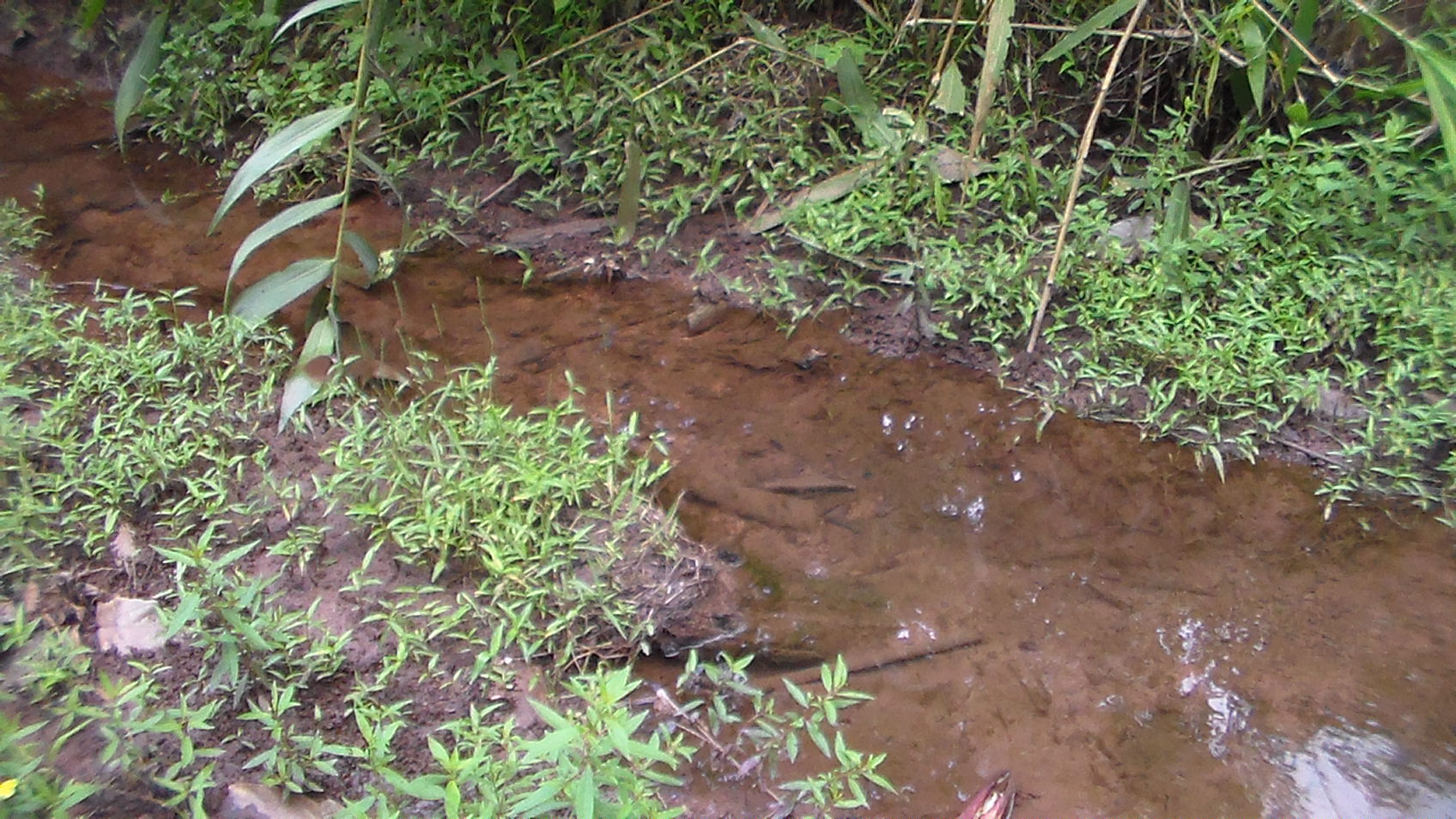 La source 2