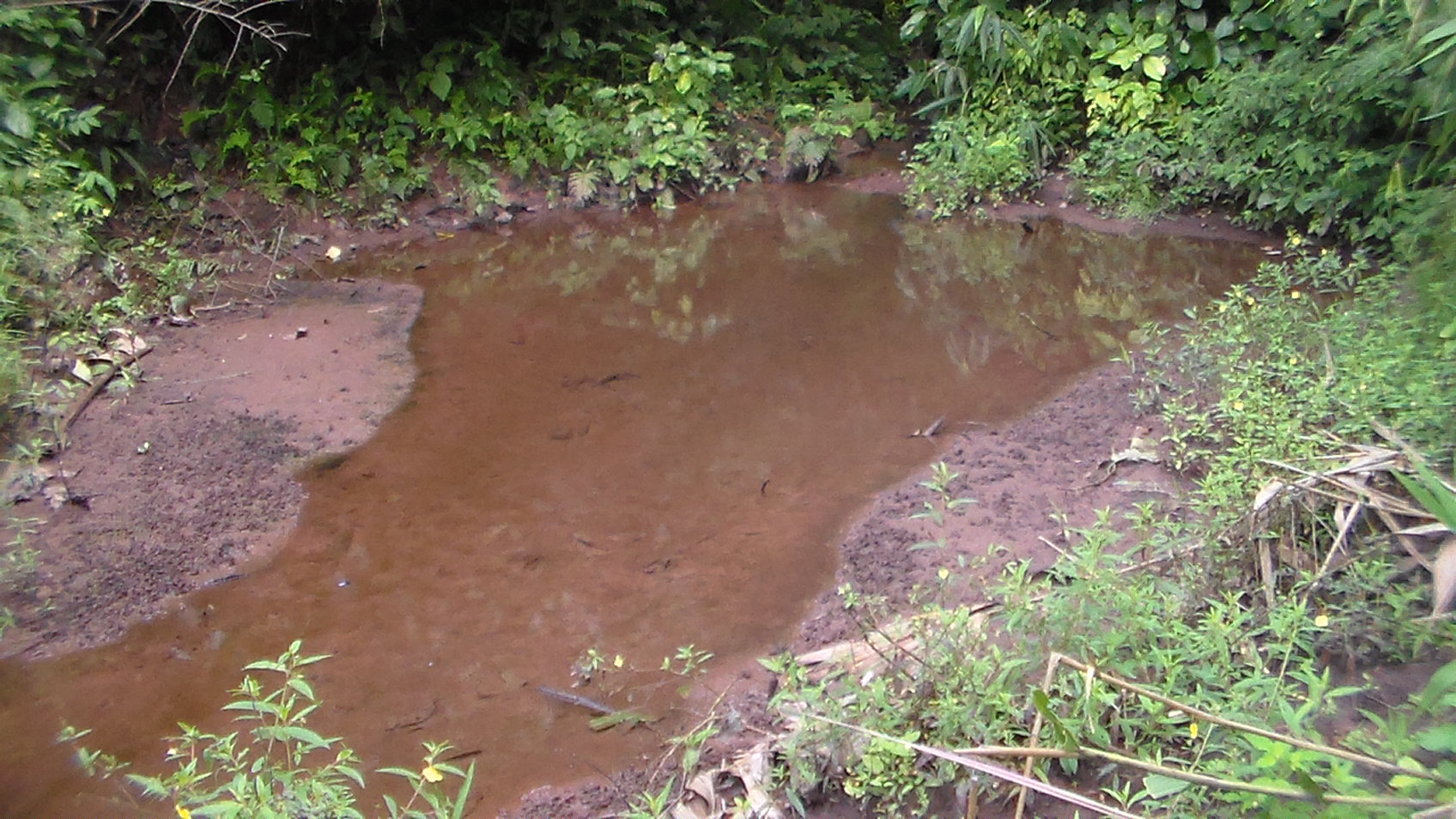 La source1