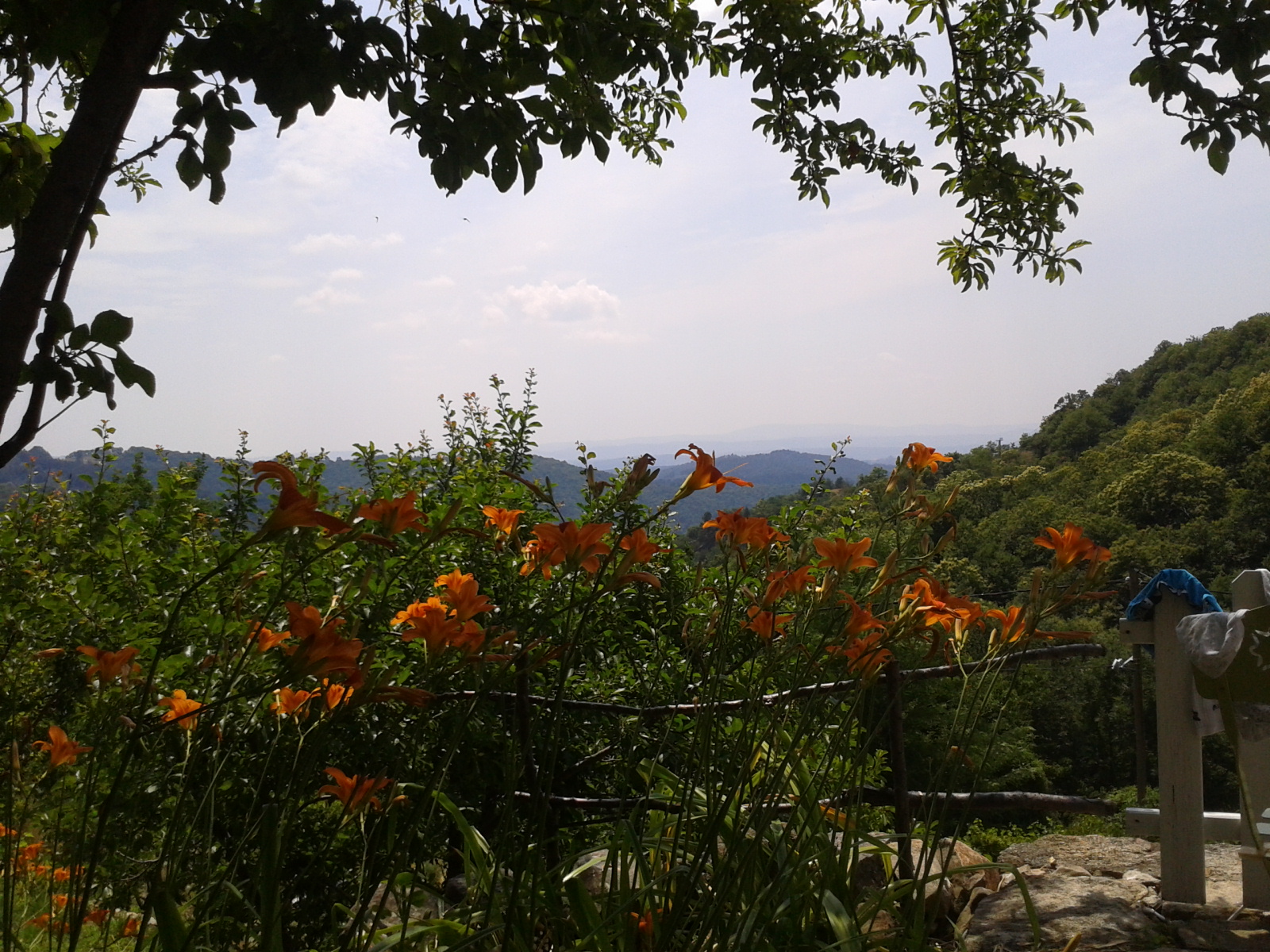 2013 07 10 12 48 56 1 