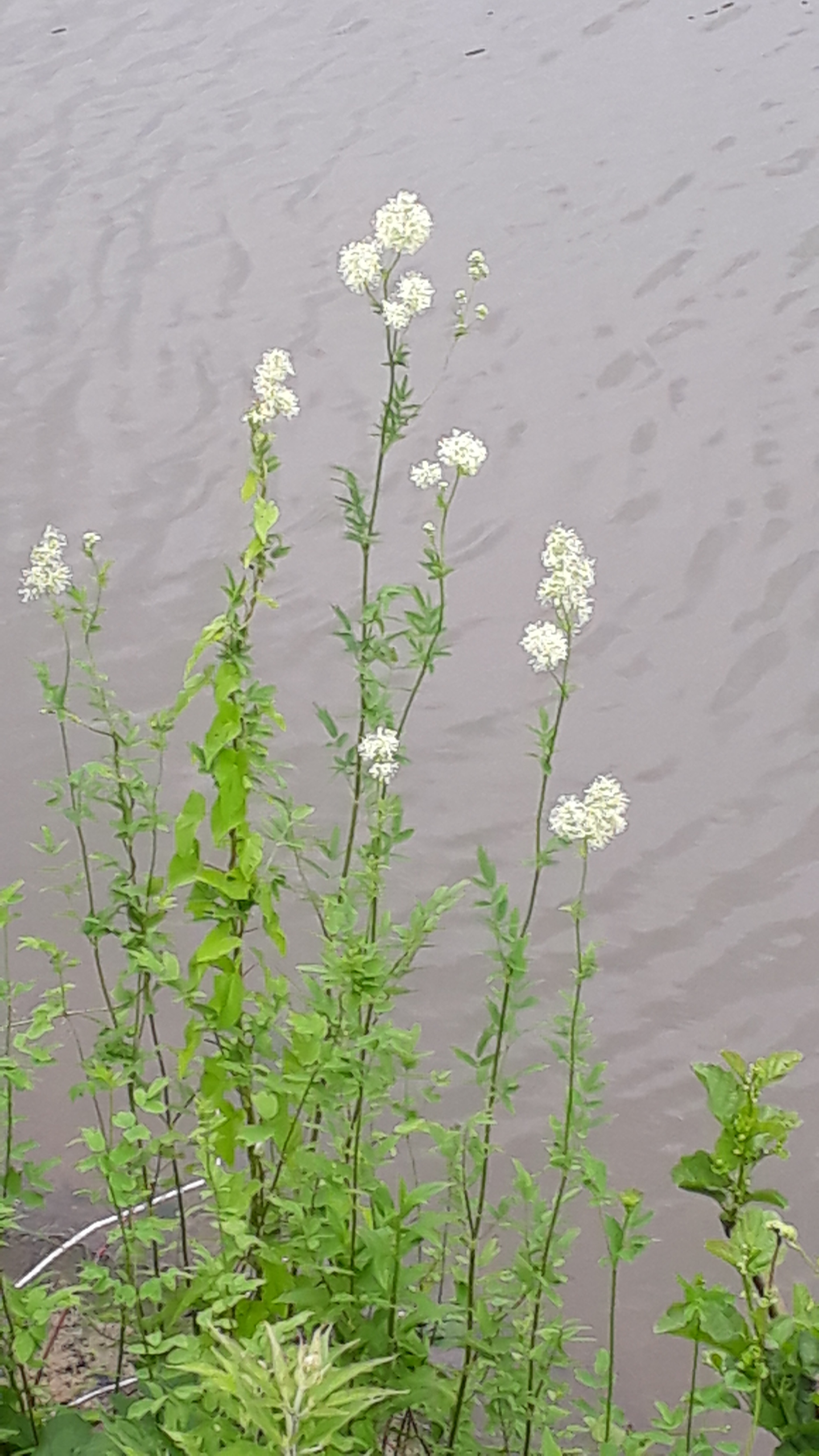 20180610 143035