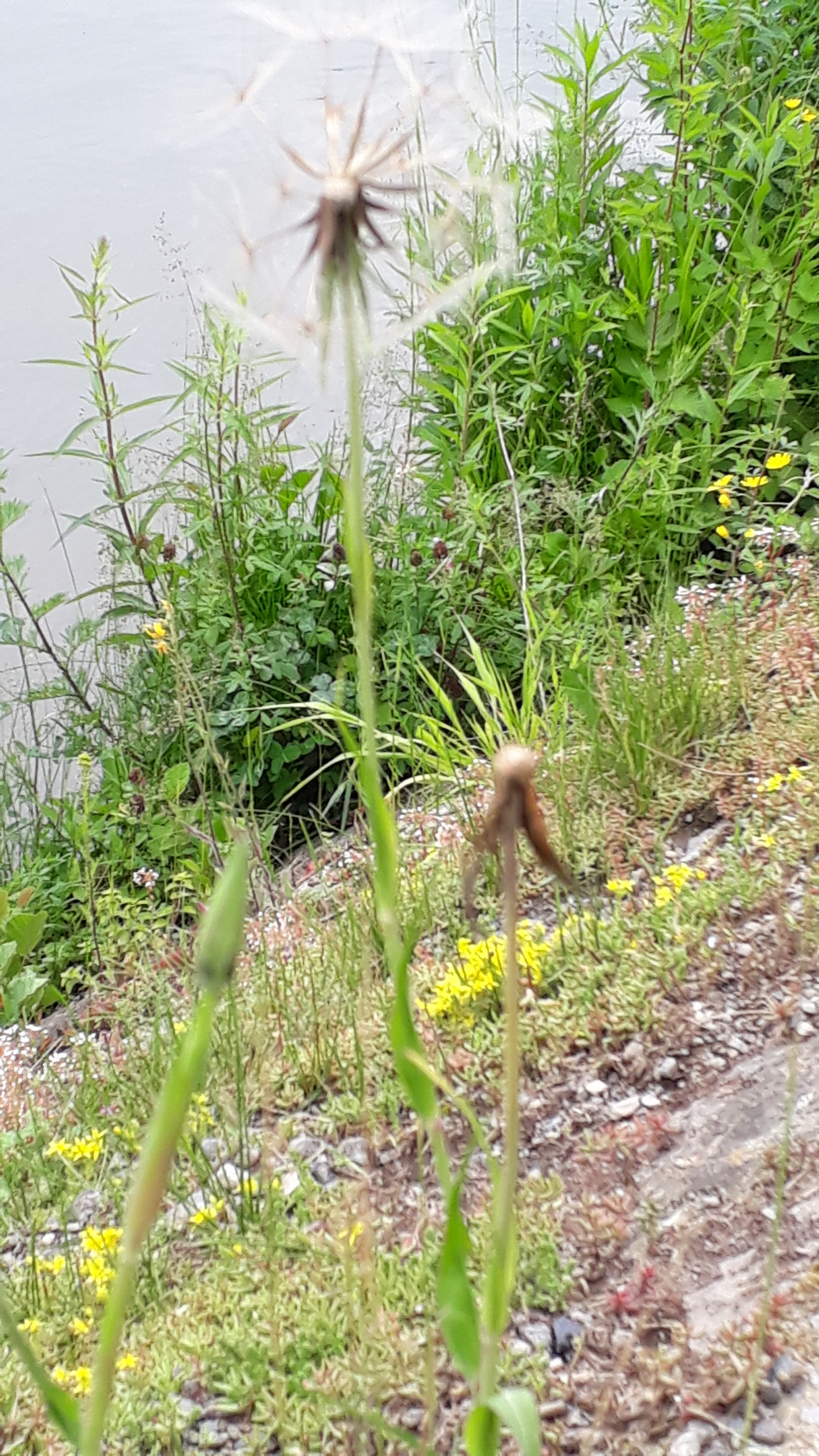 20180610 145153