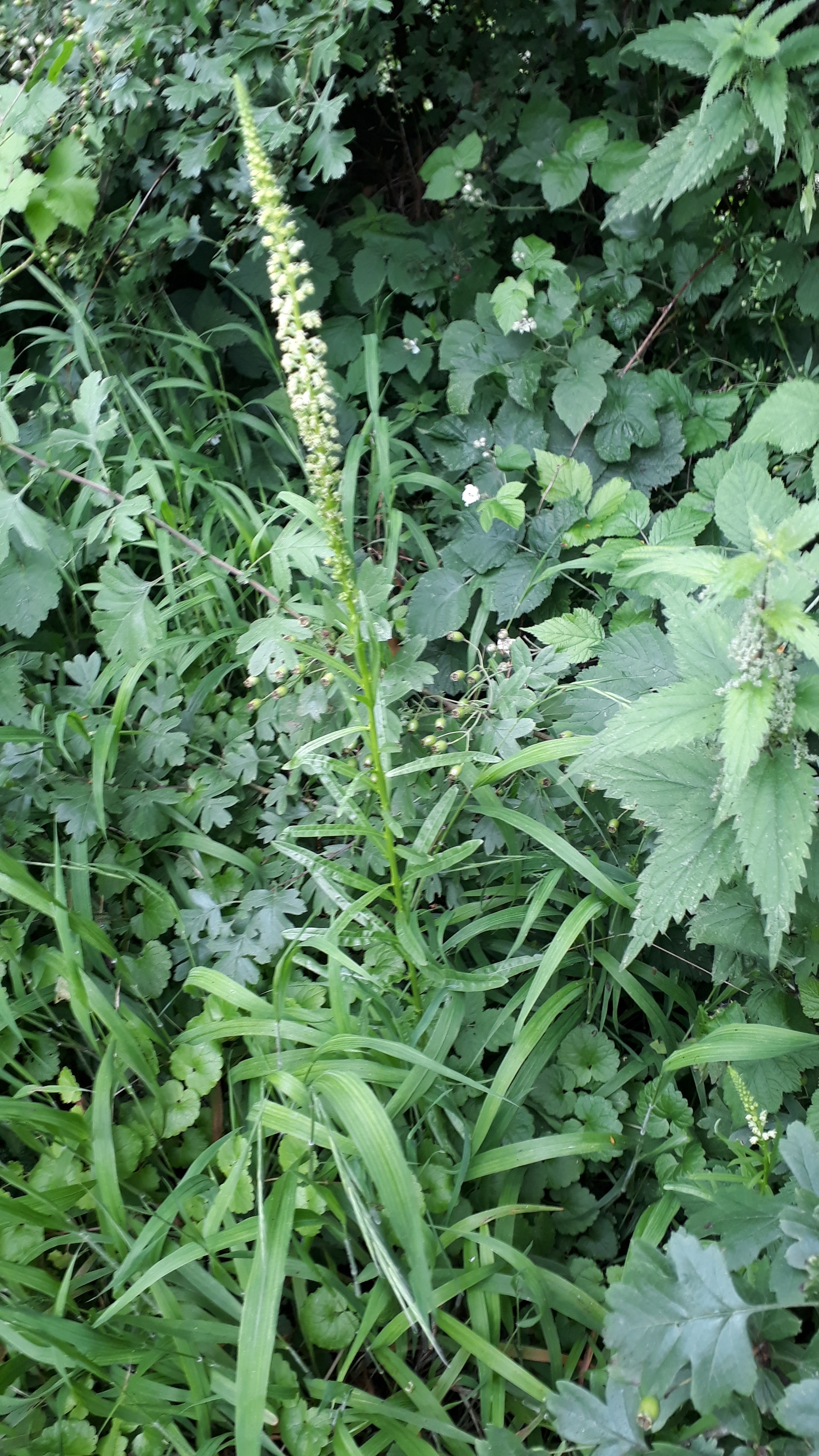 20180610 154728