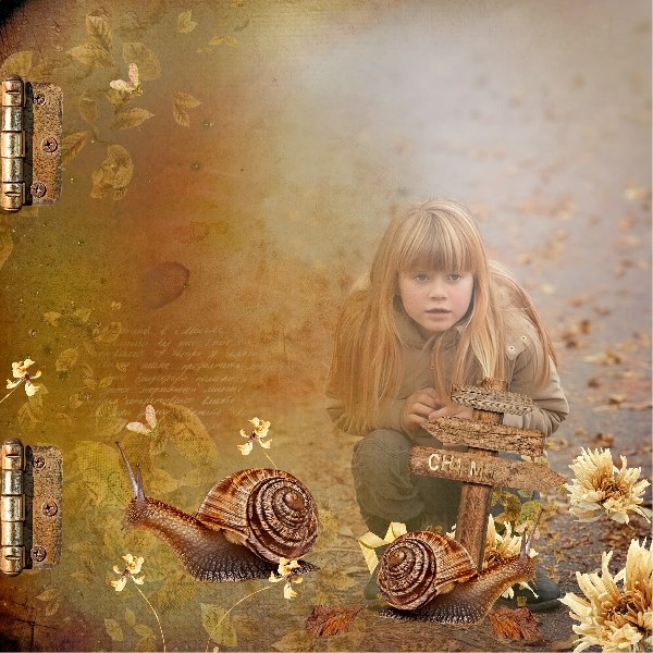 Inspiration 5 
