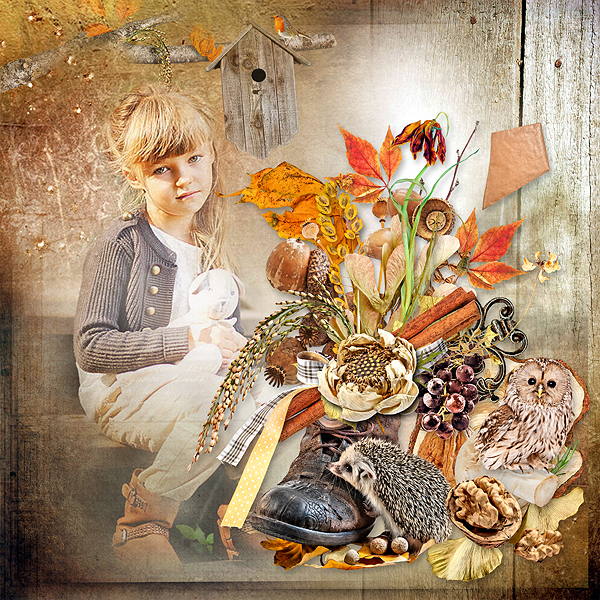 Inspiration 16 