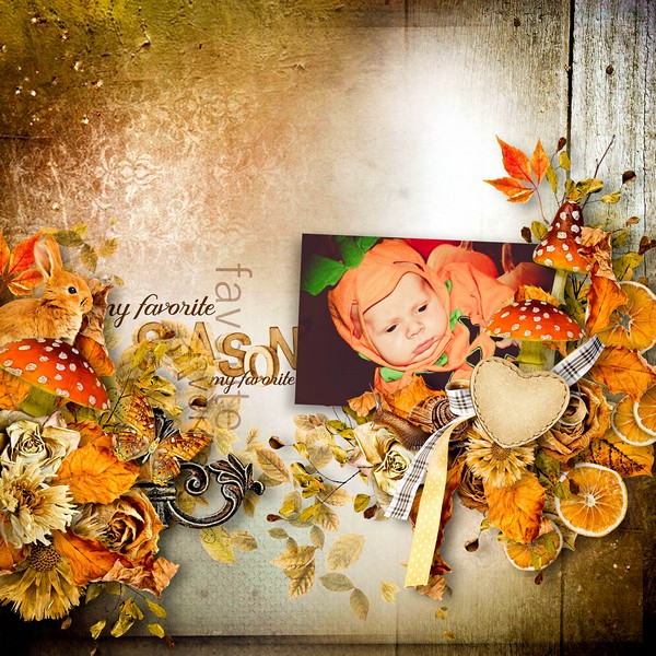 Inspiration 14 