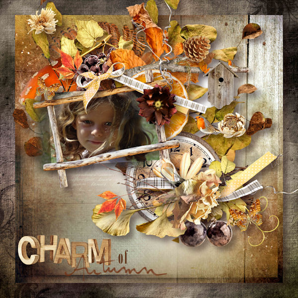 Inspiration 24 