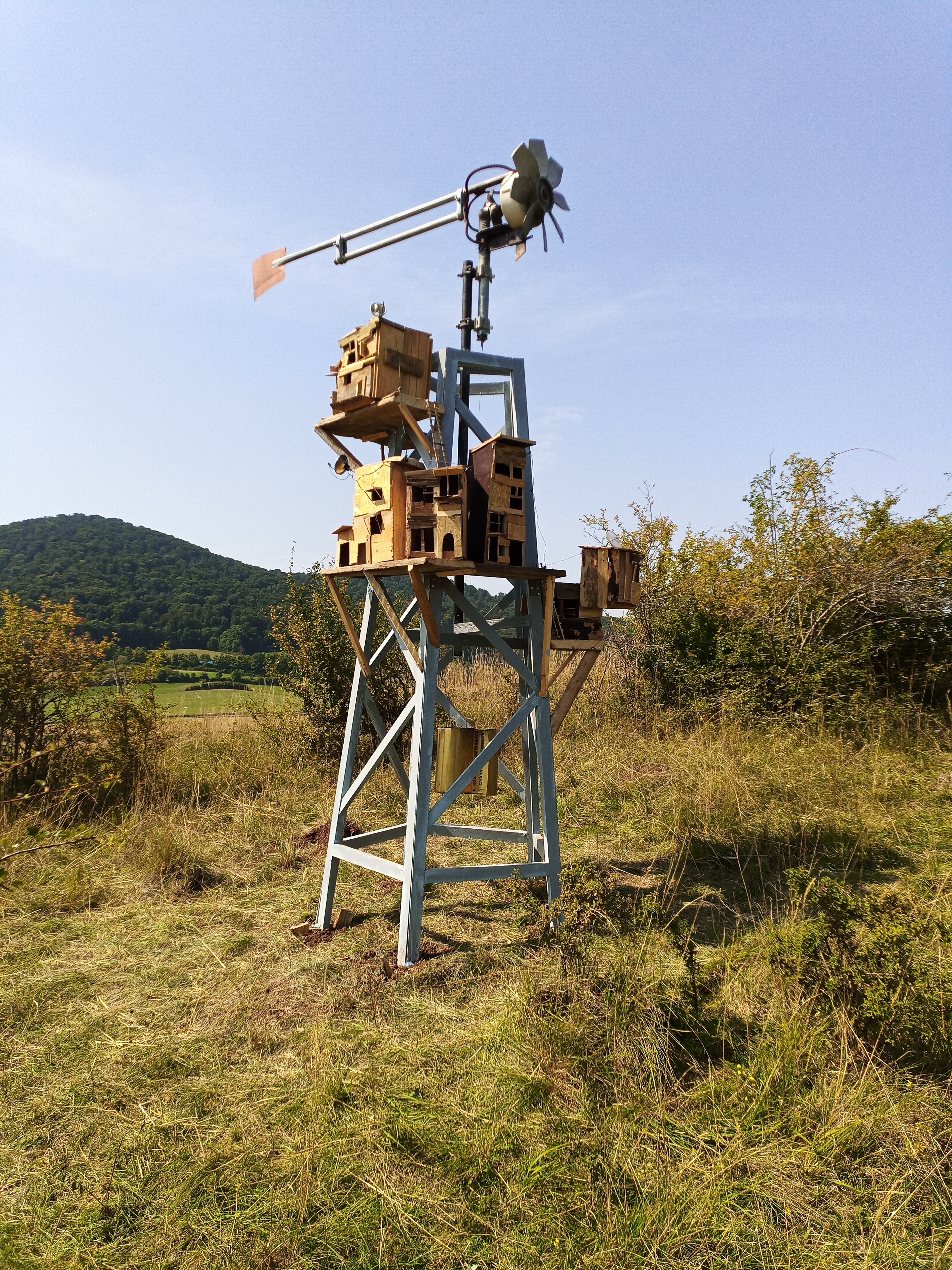 Img 20250814 121848 158