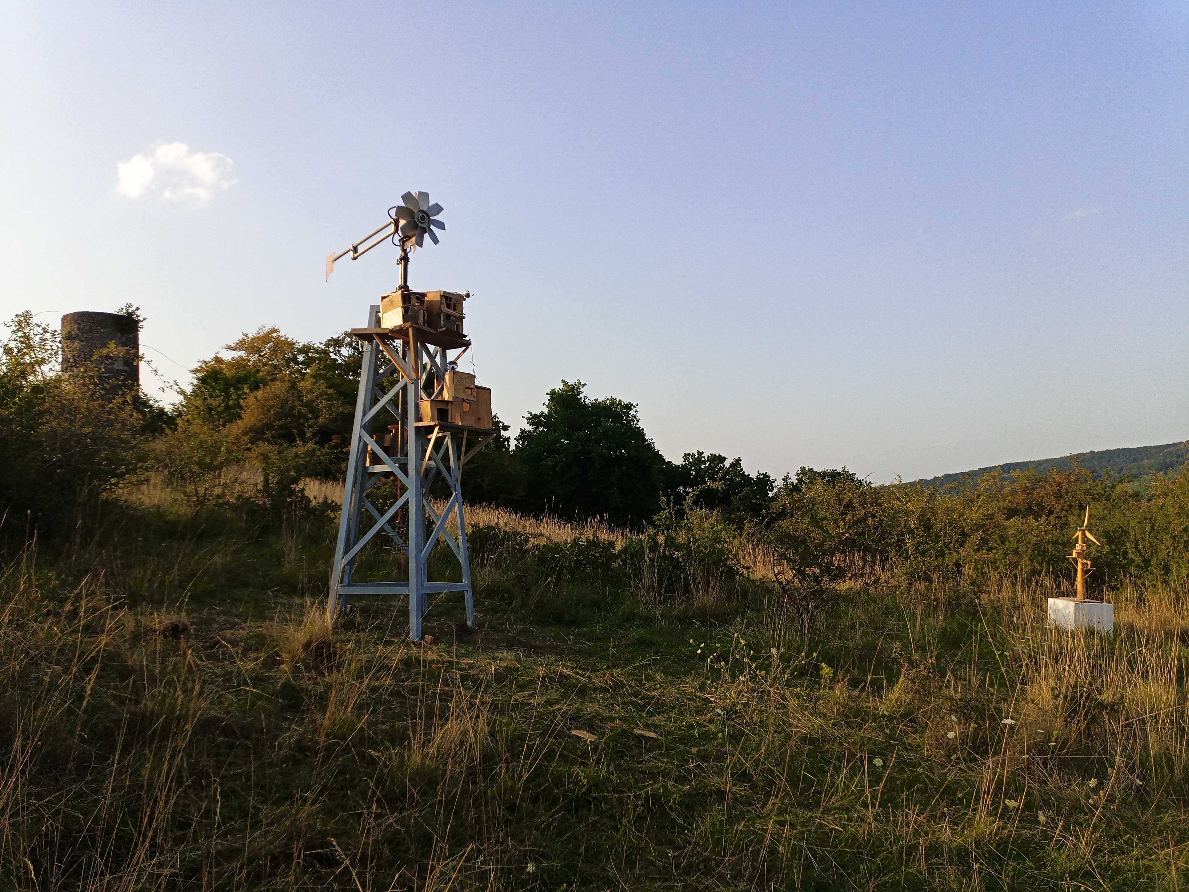 Img 20250813 190126 7