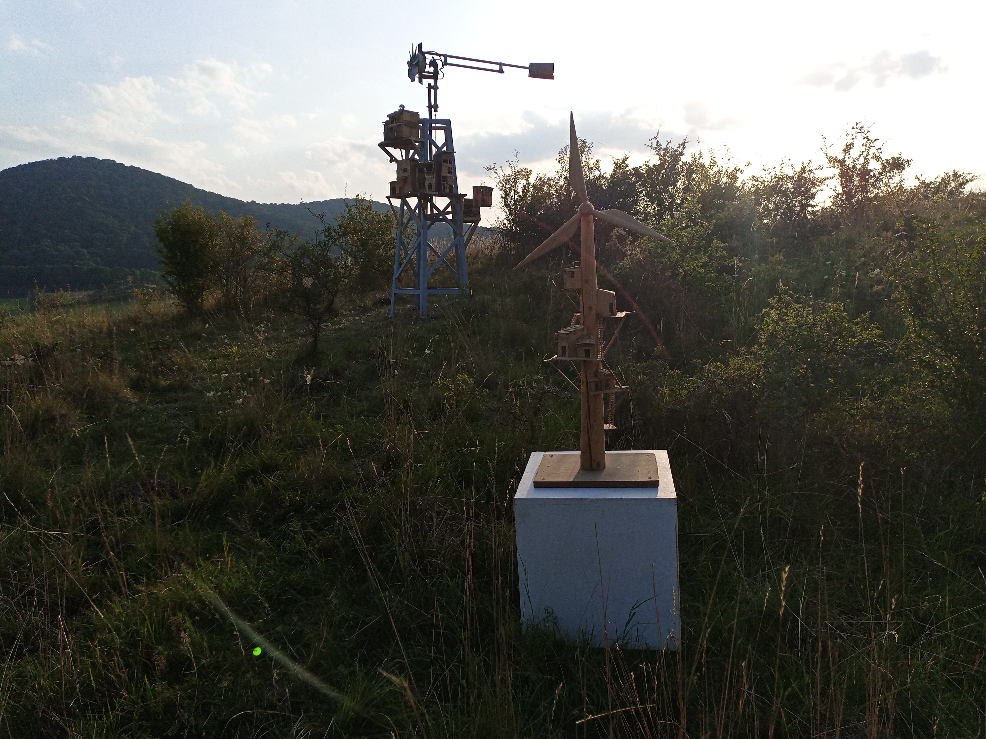 Img 20250813 185917 5