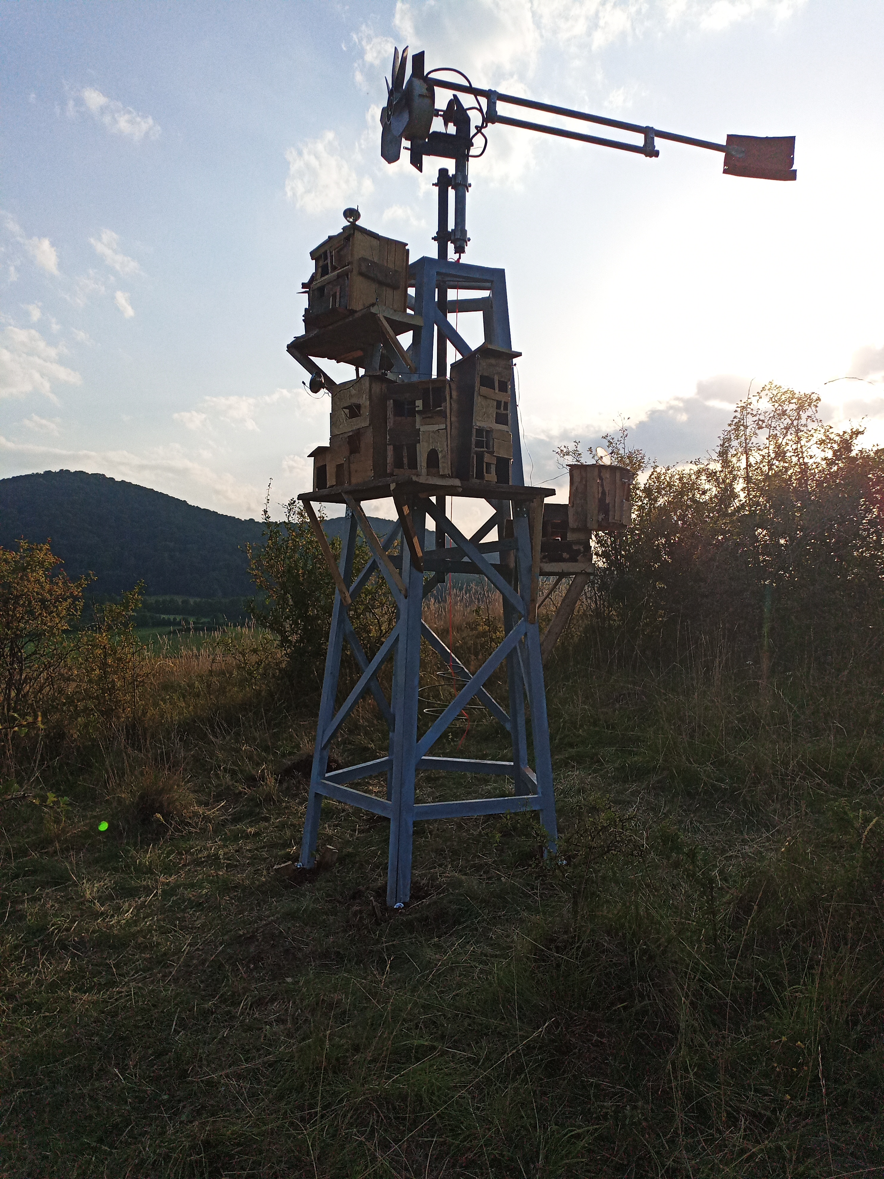 Img 20250813 185417 7