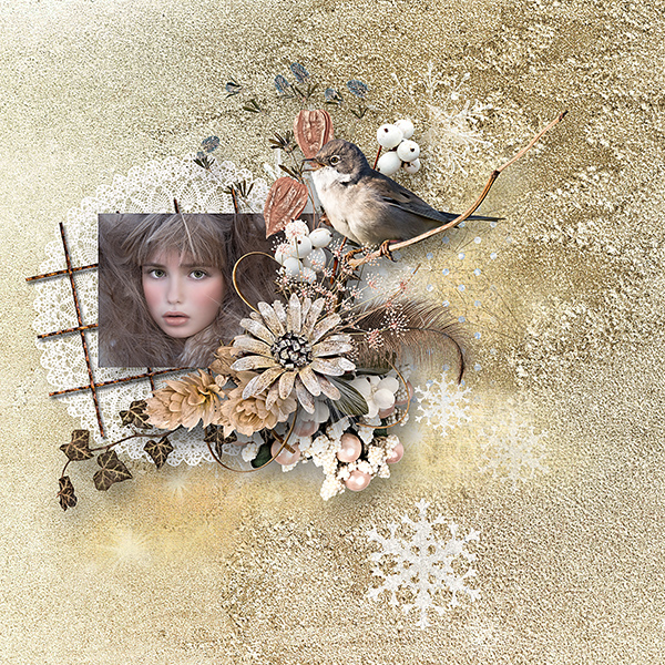 Inspiration 15 